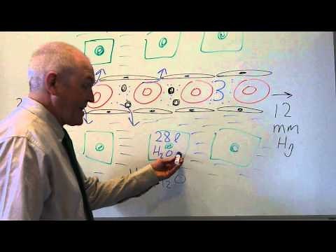 Body fluids 2, Movement between fluid compartments