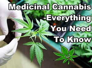 What is medical cannabis, anyway, read this https://cannabis.net/blog/medical/medicinal-cannabis-everything-you-need-to-know | Cannabis.Net