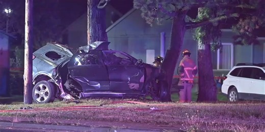 Driver dies after crashing car into trees in Gresham