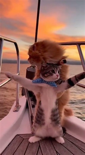 Titanic Kittens: Iconic Scene