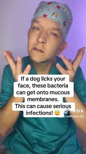 Is Letting Your Dog Lick Your Face Dangerous? Dr. Williams Explains