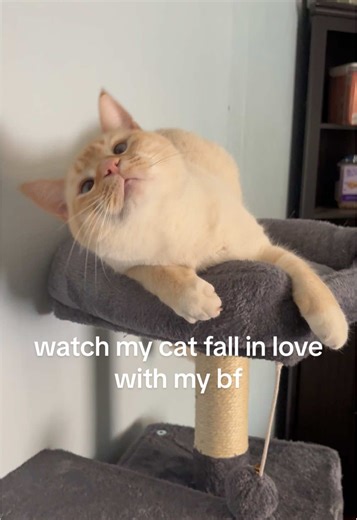 Momo's Heartwarming Love Story with My Boyfriend
