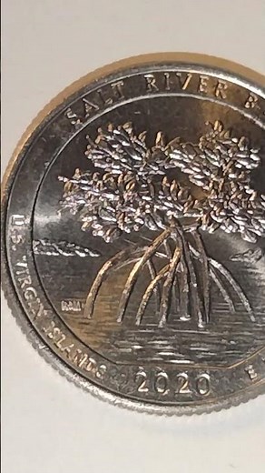 2020-D Quarter U.S. Virgin Islands Feeder Finger Error Coin