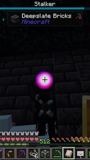 Trying to Capture a Stalker… Then the Warden Shows Up 😳 | NILcraft #Shorts