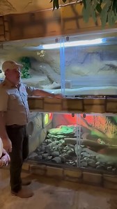 Albino python breeding insight at Fame Park