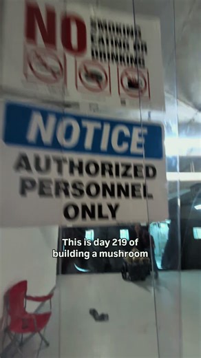 Weekly update! We harvested just over 50lbs this week and are struggling to fill orders right now. While our straw chopper was down, we held back on production to create a reserve of grain spawn for 2026 and unfortunately the logs we made were with a new type of straw that had way too much alfalfa in it. Alfalfa provides nitrogen, which is necessary for mushrooms but too much slows mycelial growth and encourages bacteria. We had 1 batch with less alfalfa that survived, and some logs produced 2nd