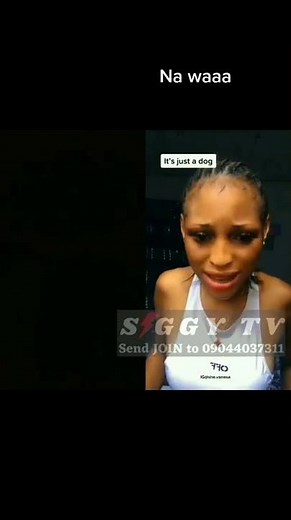 Girl Sleeping With Dogs for 1.5 Million Goes Viral in New Video