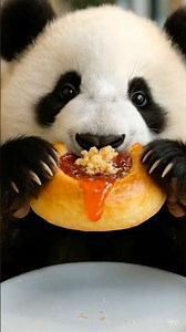 Would You Go Classic Apricot or Spicy Jalapeño Kolache? 🥐🍓🧡