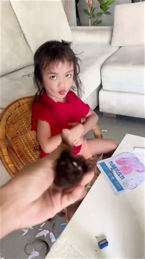 My daughter secretly took the scissors and cut her own hair. #BugHaOat #funny ep1