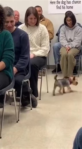 #funny #funnyvideos #fun | Funny Video