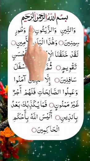 Surah At-Teen | Beautiful Recitation 🕋✨ || Everyday Quran Tilawat #surahatteen #shorts