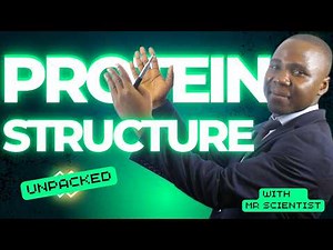 Protein Structure Explained: The Blueprint of Life