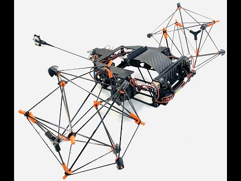 A Shape-Changing Wheeling and Jumping Robot
