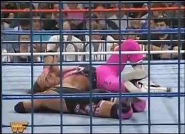 Bret Hart vs Owen Hart - Summerslam 1994