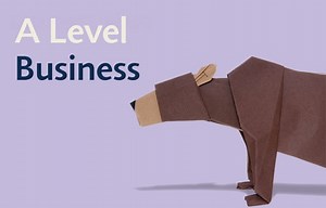 A Level Business: How Level Descriptors Actually Work