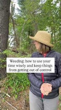 Weeding! Develop A Strategy For Different Types And Stay On Top Of Them.