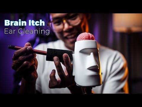 ASMR Brain-Itching Ear Cleaning 👂 Intense 3D Tingles for Sleep & Relax (No Talking)