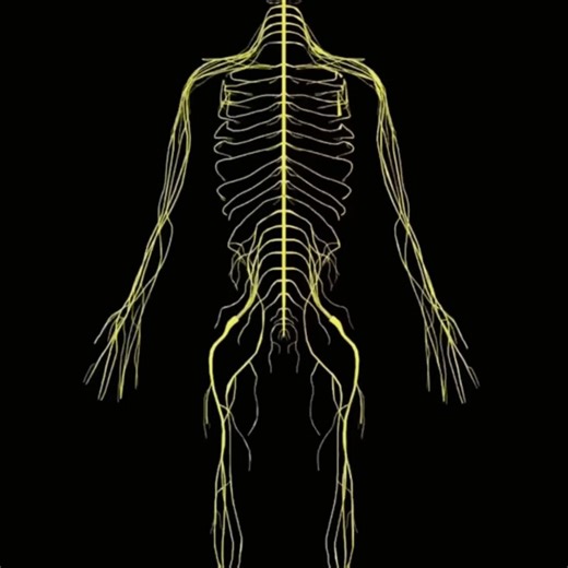 Antony Maina | Nothing in the occult is random — everything carries a code. Decode the message inside my book — link in bio. #HermeticCodes... | Instagram