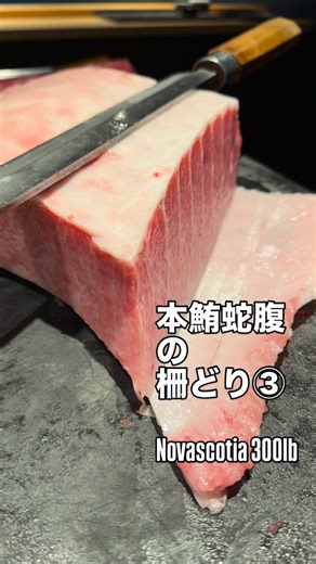 70K views · 5.5K reactions | 本鮪蛇腹の柵どり③ Novascotia 300lb #日曜日ランチ始めました #novascotia #300lb #bluefintuna #本鮪 #蛇腹 #柵どり #omakasenigiri #おまかせ握り寿司 #眞海寿司 #sushi_bar_maumi #omakase | Sushi bar Maumi | Facebook