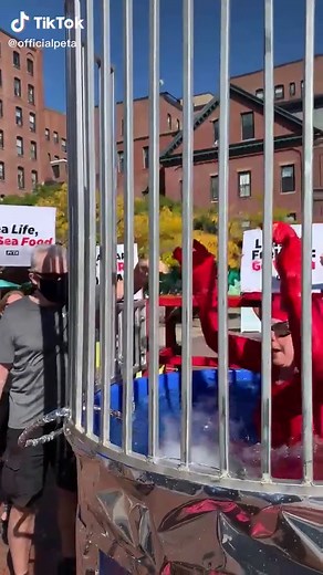 Boiling lobsters alive is a special kind of evil.