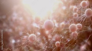 A close-up of bacteria cells under a microscope, showing intricate strands and light effects. The spherical microorganisms are illuminated by soft, ambient light, creating a scientific and