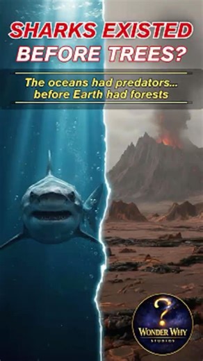 🦈 Sharks Existed Before Trees🌳? | Wonder Why Studios #oceanpredators #sharks #prehistoricocean