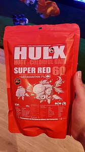 1.6K views · 14 reactions | Testing out the new Hulx Super red 60 Fancy goldfish food. #fancygoldfishfanatics #goldfish #fancygoldfish #pond #aquarium #goldfishtank #goldfishunion #starfisheries #goldfishofinstagram #goldfishpond #goldfishlover #goldfishkeeper #oranda #orandagoldfish | Aquatic Elements | Facebook