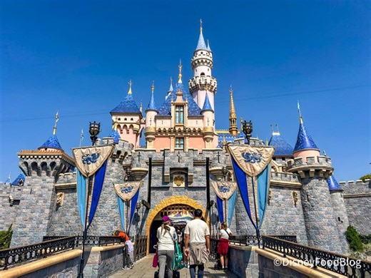 3 New Rules Disneyland Is Enforcing in 2025 | the disney food blog