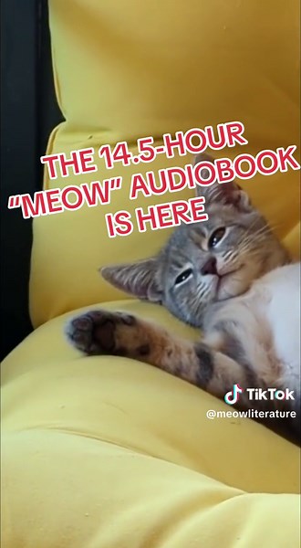 Meow: A Novel - The Official Audiobook clocks in at over 14 hours. #audibletok #audible #audiobooktok #meowbook #meowanovel #samausten #cattok