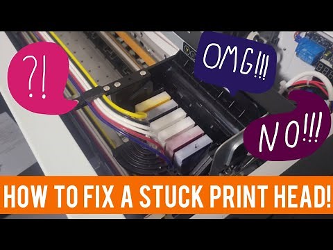 How to Fix a Stuck DTF Print Head! - Punehod L1800 Direct Transfer Film Printer (Procolored)