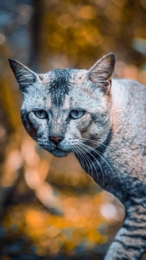 Lightroom Color Grading Tutorial | Cinematic Look in Minutes