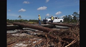 Hurricane Michael aftermath in 3 minutes: 65 images of 10 cities