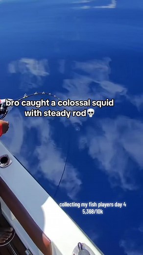 Catching Colossal Squid with Steady Rod Techniques