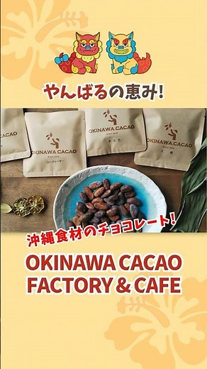 厳選された沖縄食材使用のチョコ🍫と沖縄カカオの今を知る✨学びと美味しさのカフェ体験【OKINAWA CACAO FACTORY & CAFE】