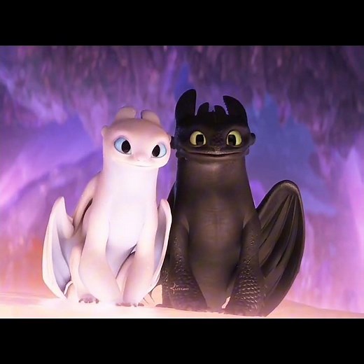 Night Fury & Light Fury 🖤🤍 | How to Train Your Dragon Edit #httyd #nightfury #toothlessandlightfury