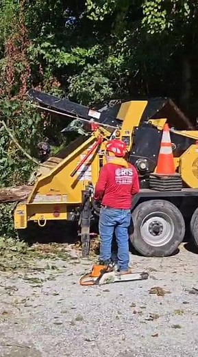 AFFORDABLE TREE SERVICES NEAR ATLANTA, GA | RTS TREE SERVICES