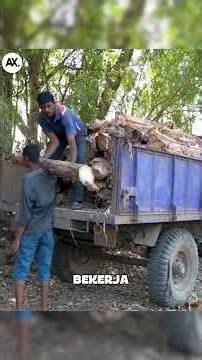 Pembalut dari Batang Pisang: Solusi Ramah Lingkungan atau Cuma Ilusi Hijau?