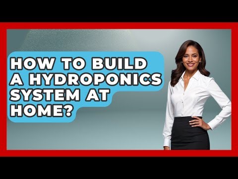 How To Build A Hydroponics System At Home? - The World of Agriculture