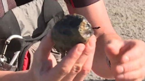 Meteorite hunters find space rocks deep in WA outback