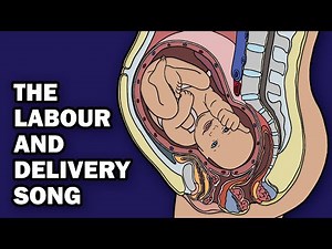 THE LABOR AND DELIVERY SONG