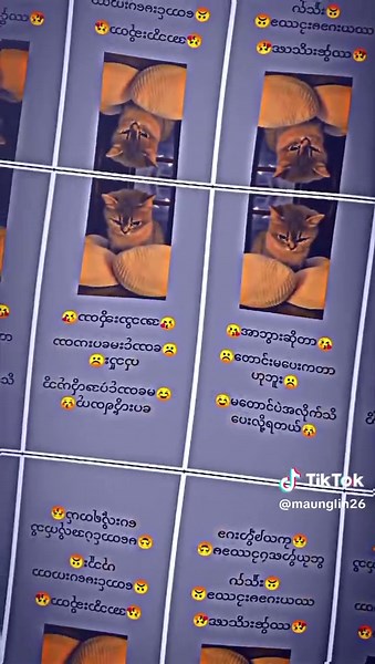 A Light Motion Slow Motion Video Editing Guide