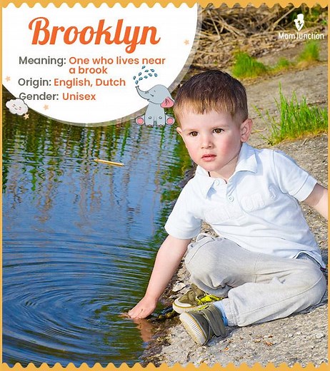 Brooklyn Name Meaning, Origin, History, And Popularity