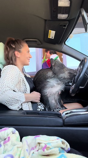 @Starbucks is now our internet friend so GIRL we are celebrating😭 Y’all made this happen ily #merlinthepig #mina #pigsoftiktok #piggy #pig #fyp #xyzbca