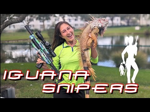 Iguana Snipers 132: Giants come out to play, Day 1