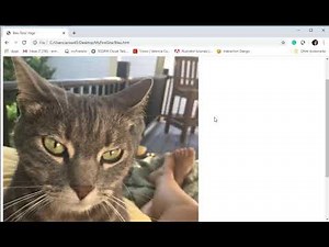 Inserting Images on a Webpage