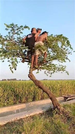 Masa kecil Kurang bahagia 😝