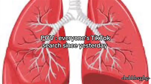 Understanding Lung Function: What Are Lungs For?