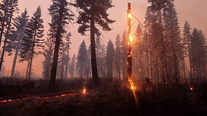 3 more victims identified in North Complex West Zone fire  | Update