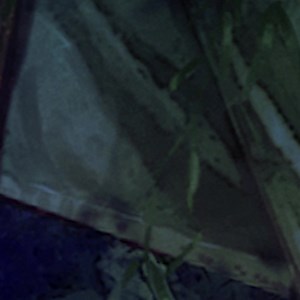 185 reactions · 17 comments | Aliens, ghosts, and love triangles collide  | Anime Limited | Facebook