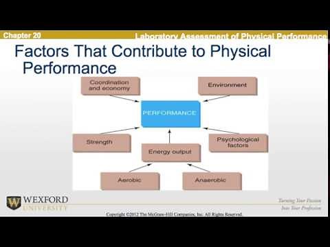 Testing Human Performance in a Lab | Exercise Physiology